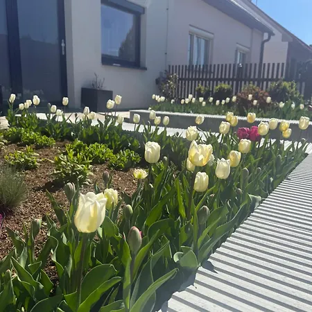 Garsonka V Srdci Vysociny Apartman