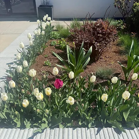 Apartman Garsonka V Srdci Vysociny